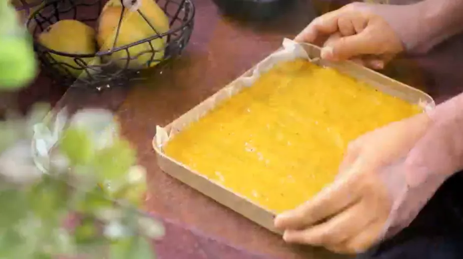 Mango Fruit Roll Ups Recipe